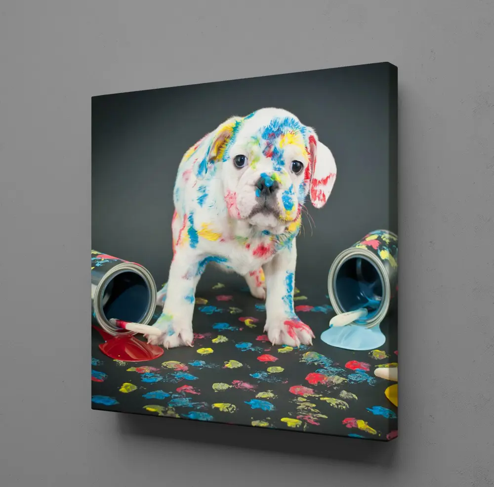 BOYA SIÇRAMIŞ BEYAZ KÖPEK KANVAS TABLO BOYA SIÇRAMIŞ BEYAZ KÖPEK KANVAS TABLO