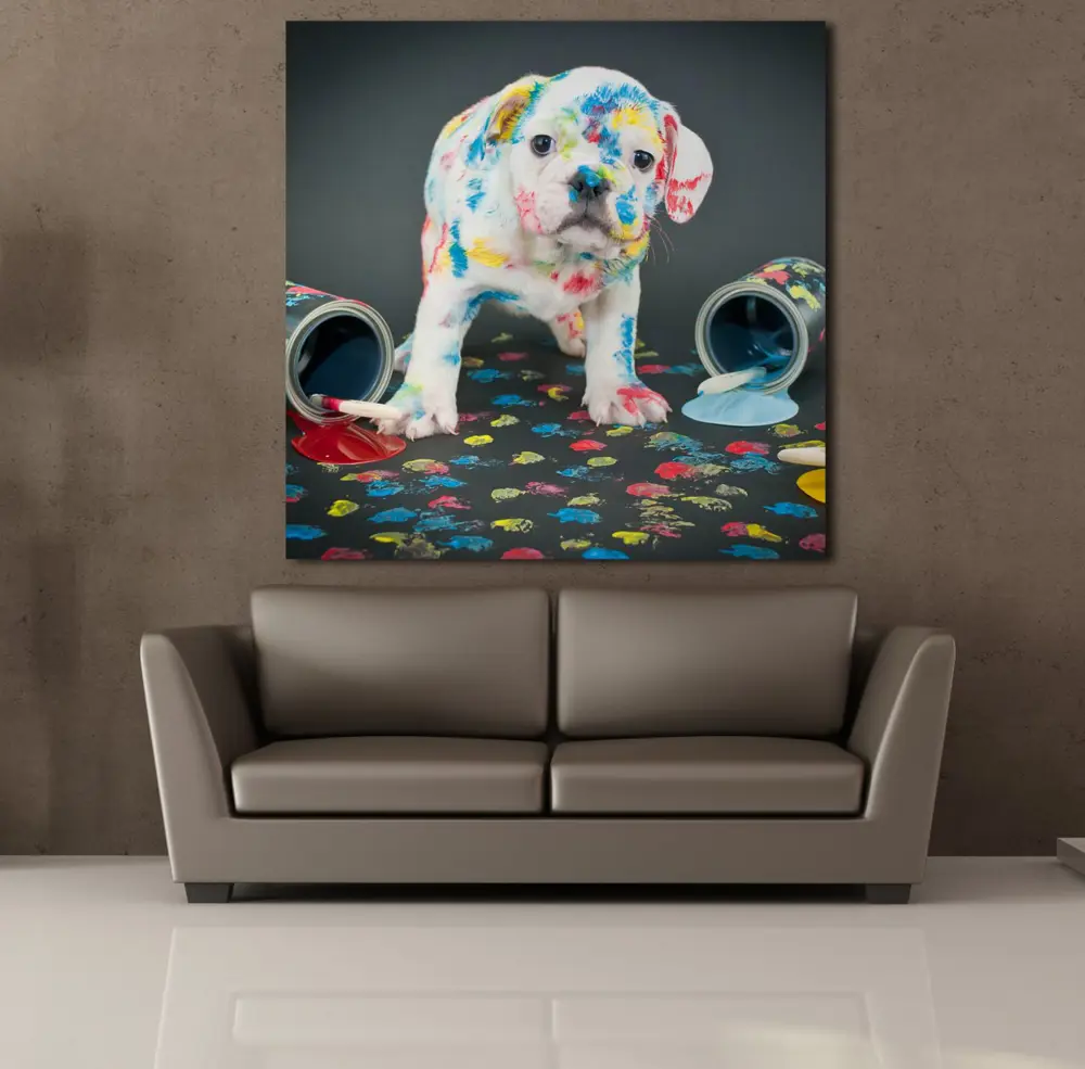 BOYA SIÇRAMIŞ BEYAZ KÖPEK KANVAS TABLO BOYA SIÇRAMIŞ BEYAZ KÖPEK KANVAS TABLO