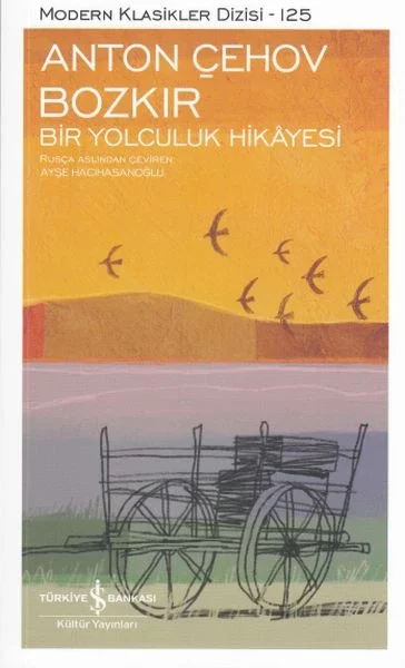 Bozkır Bir Yolculuk Hikayesi - Modern Klasikler Dizisi Fiyatı, Yorumları ve Özellikleri