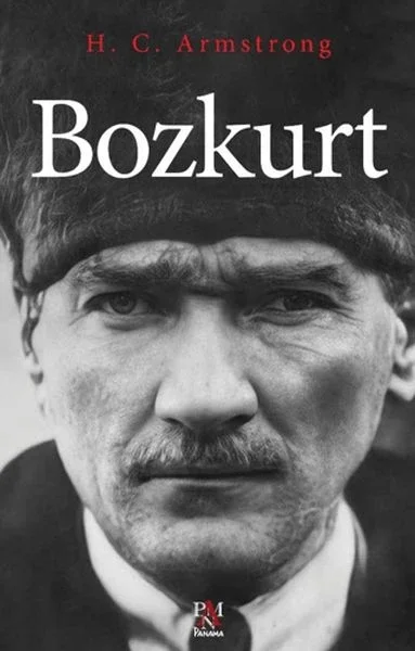 Bozkurt Fiyatı, Yorumları ve Özellikleri