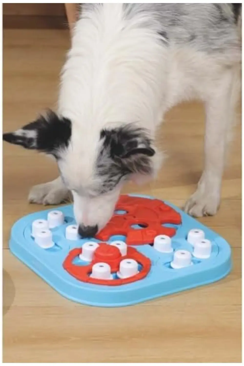 BRAINY GAMES GALILEO PUZZLE 3.SEVİYE 1178227