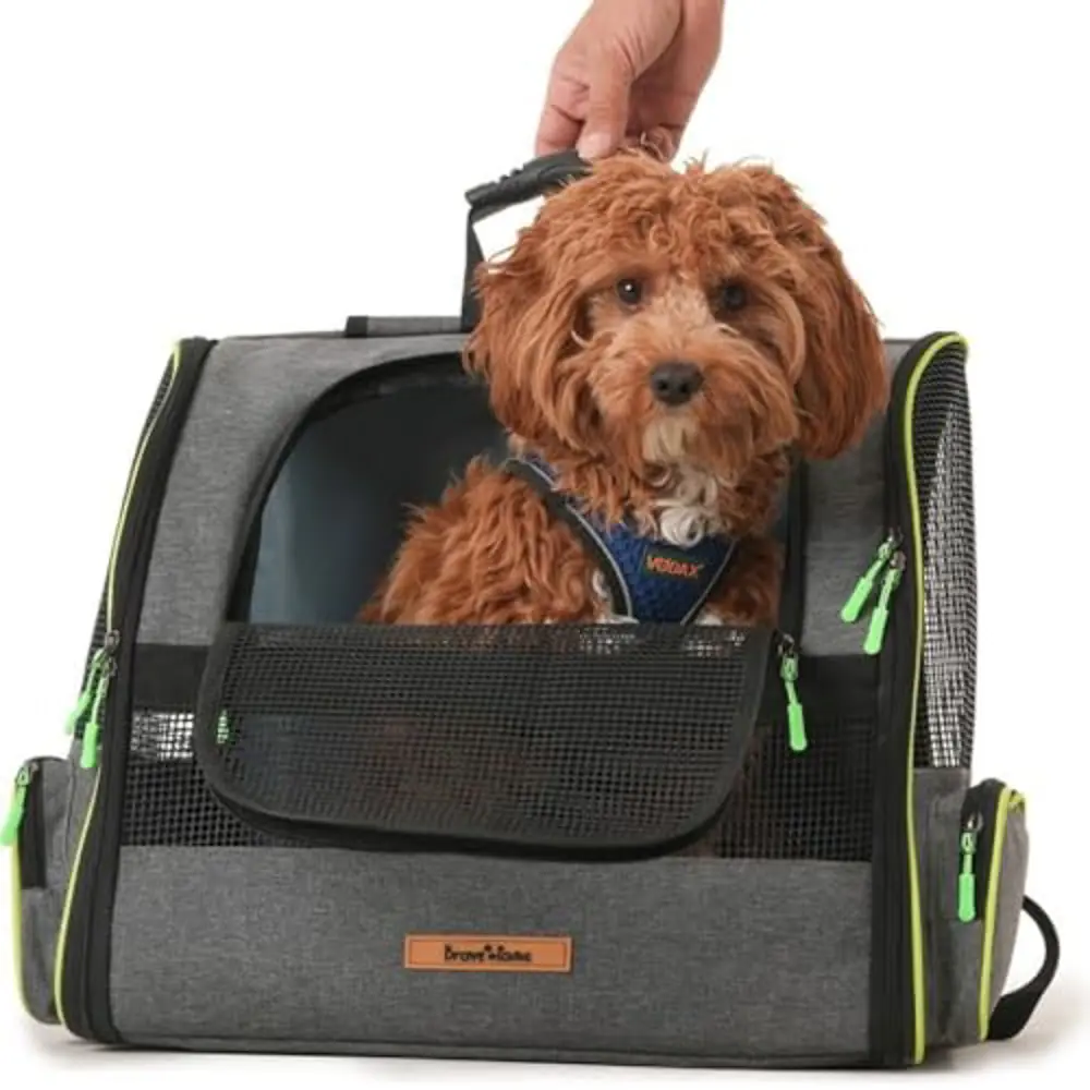 Brave Paws Kedi ve Köpekler Için Piramit Xl Taşıma Çantası - Geni