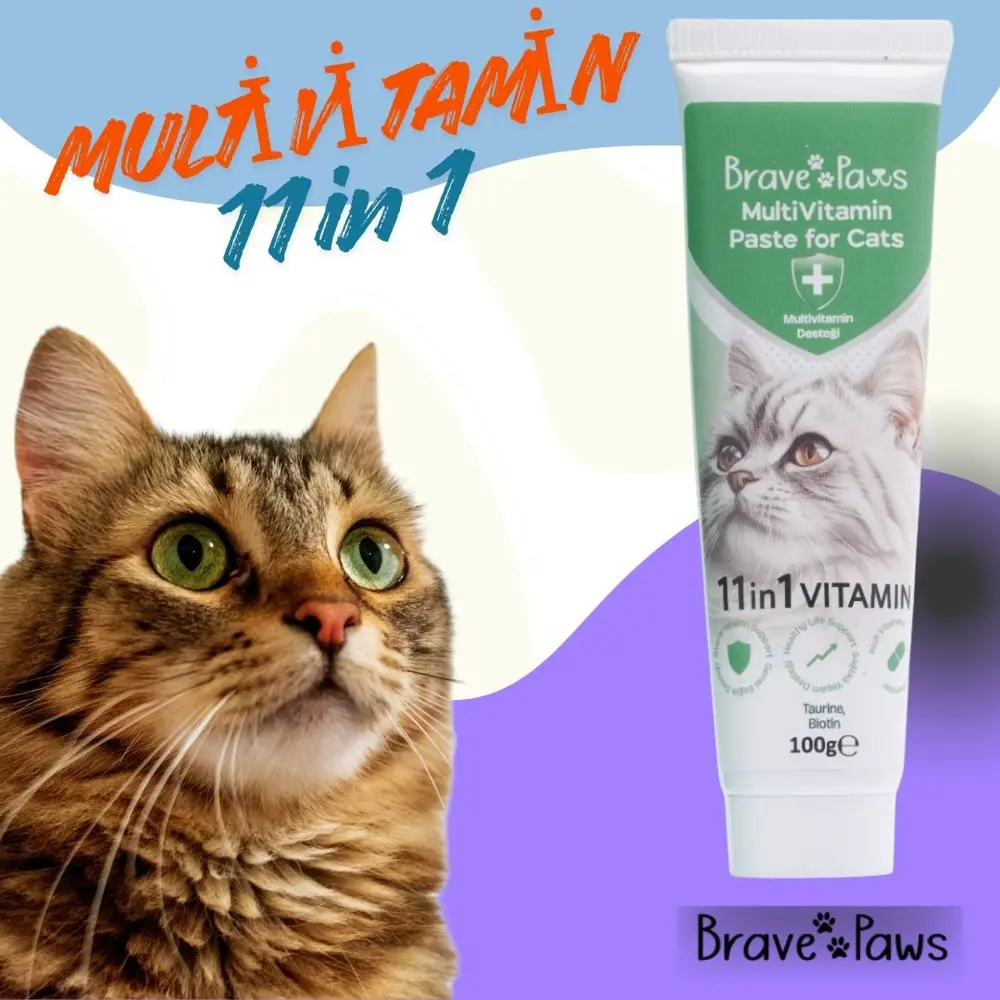 Brave Paws Multivitamin Paste for Cats – Günlük Vitamin Desteği 1