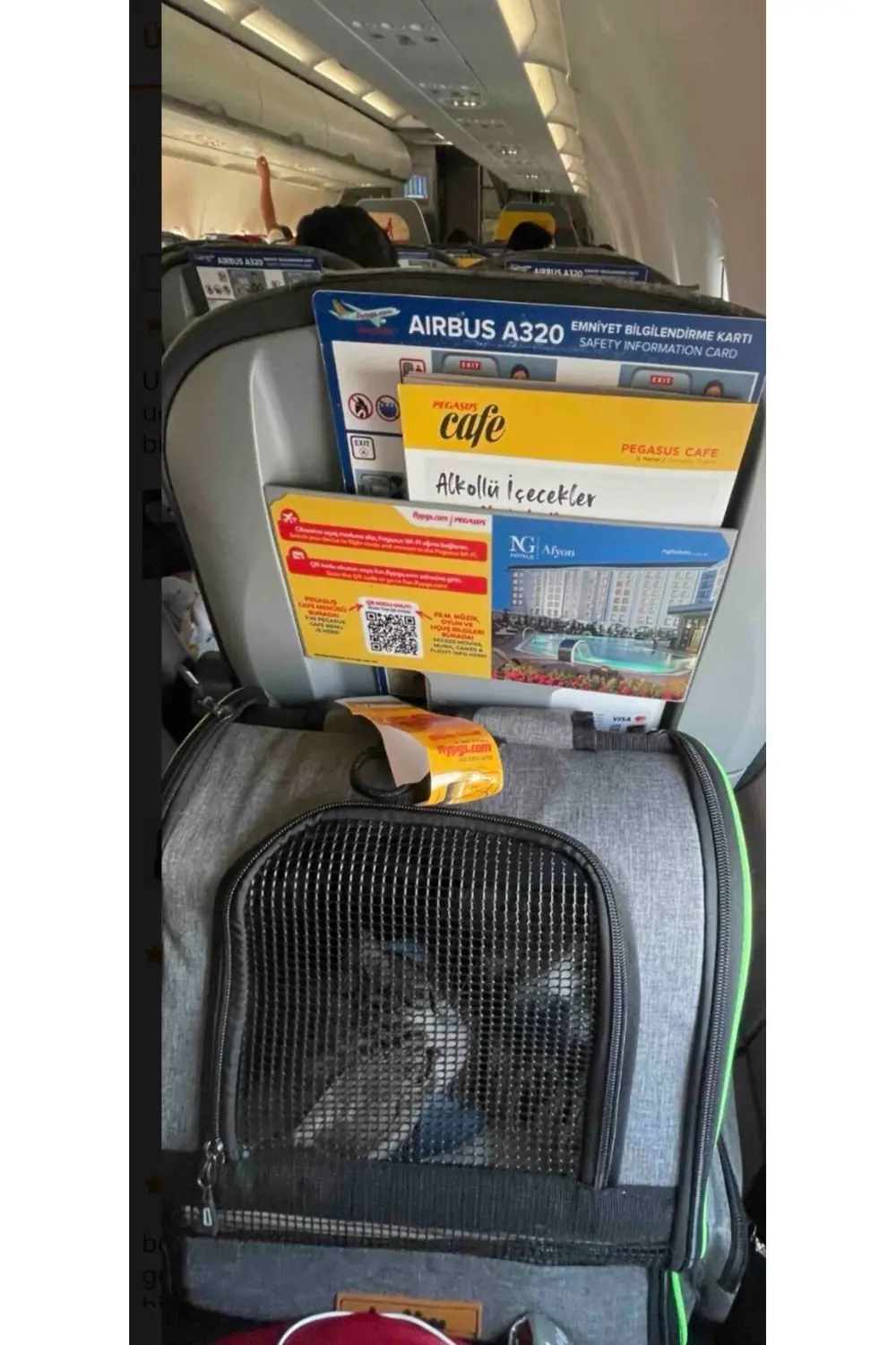 Brave Paws* Yıkanabilir Kedi Ve Köpek Çantası Plastik Fileli Pira