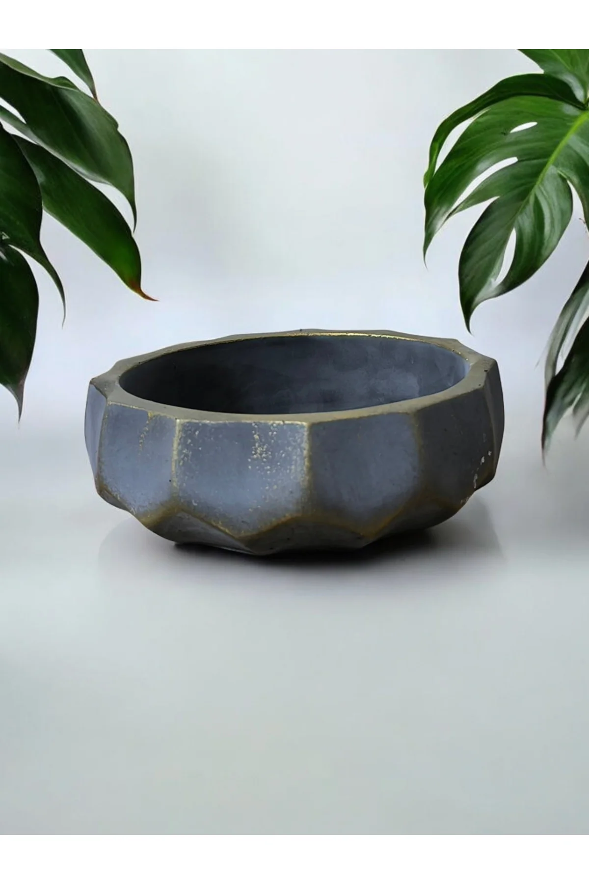Brezilya Dizayn Taş Bonsai Aranjman ve Orkide Saksısı 01a Brezilya Dizayn Taş Bonsai Aranjman ve Orkide Saksısı 01a