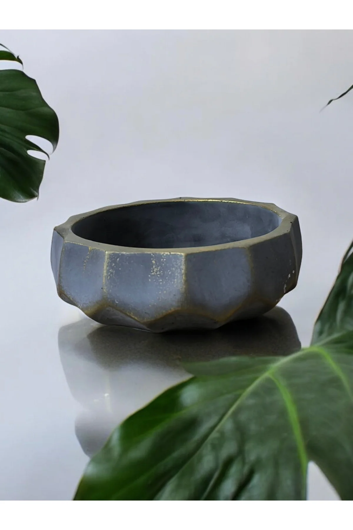 Brezilya Dizayn Taş Bonsai Aranjman ve Orkide Saksısı 01a Brezilya Dizayn Taş Bonsai Aranjman ve Orkide Saksısı 01a