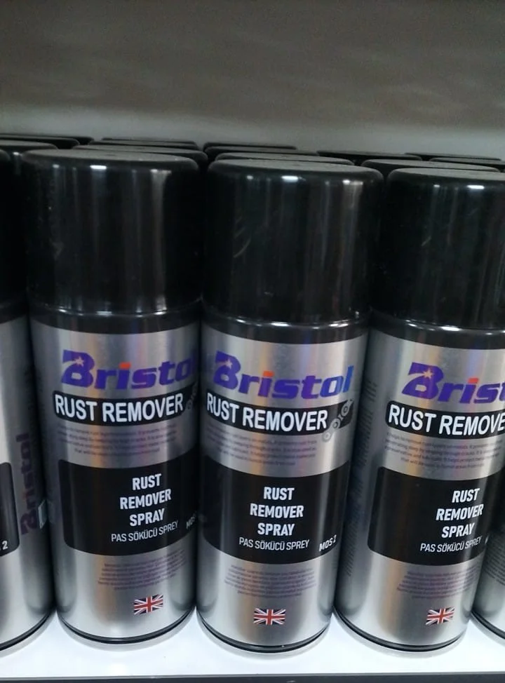 BRİSTOL RUST REMOVE PAS SÖKÜCÜ - 400 ML
