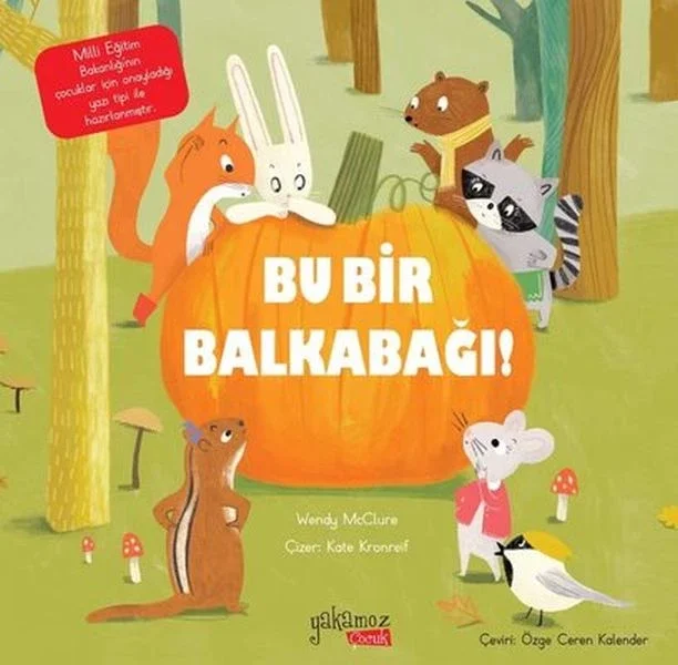 Bu Bir Balkabağı! Fiyatı, Yorumları ve Özellikleri