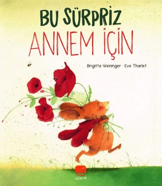 Bu Sürpriz Annem İçin Fiyatı, Yorumları ve Özellikleri