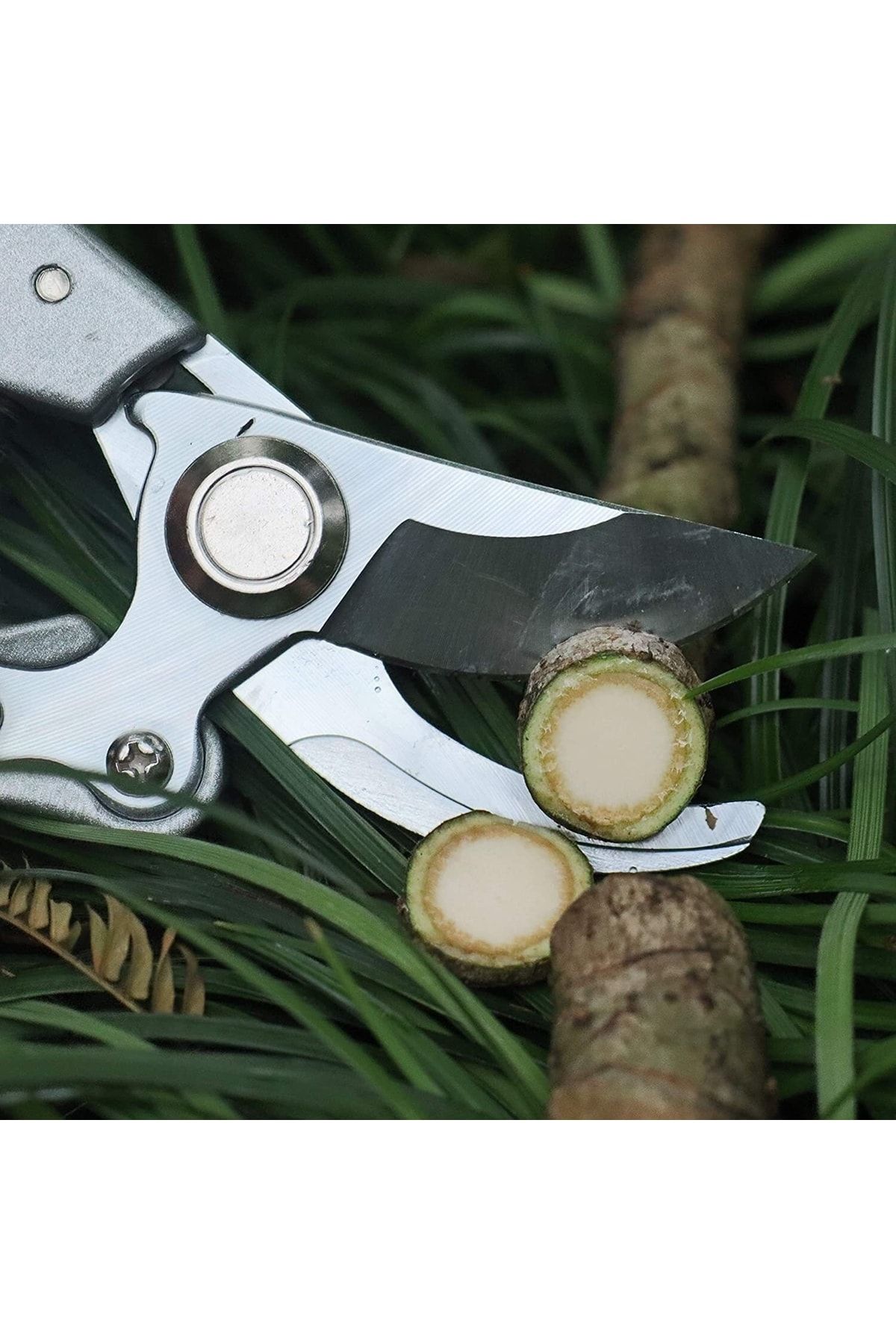 Homecare Budama Makası 423239