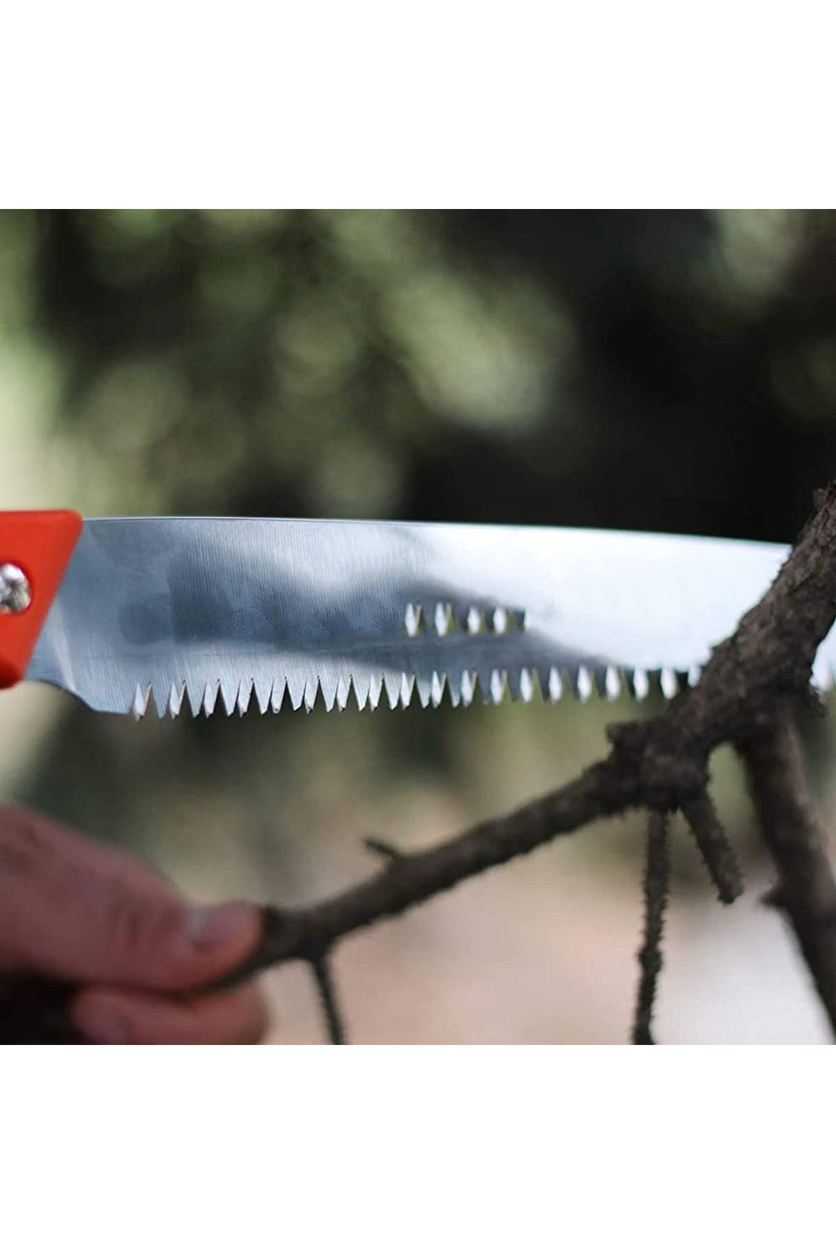 Homecare Budama Testeresi 40 Cm 422600