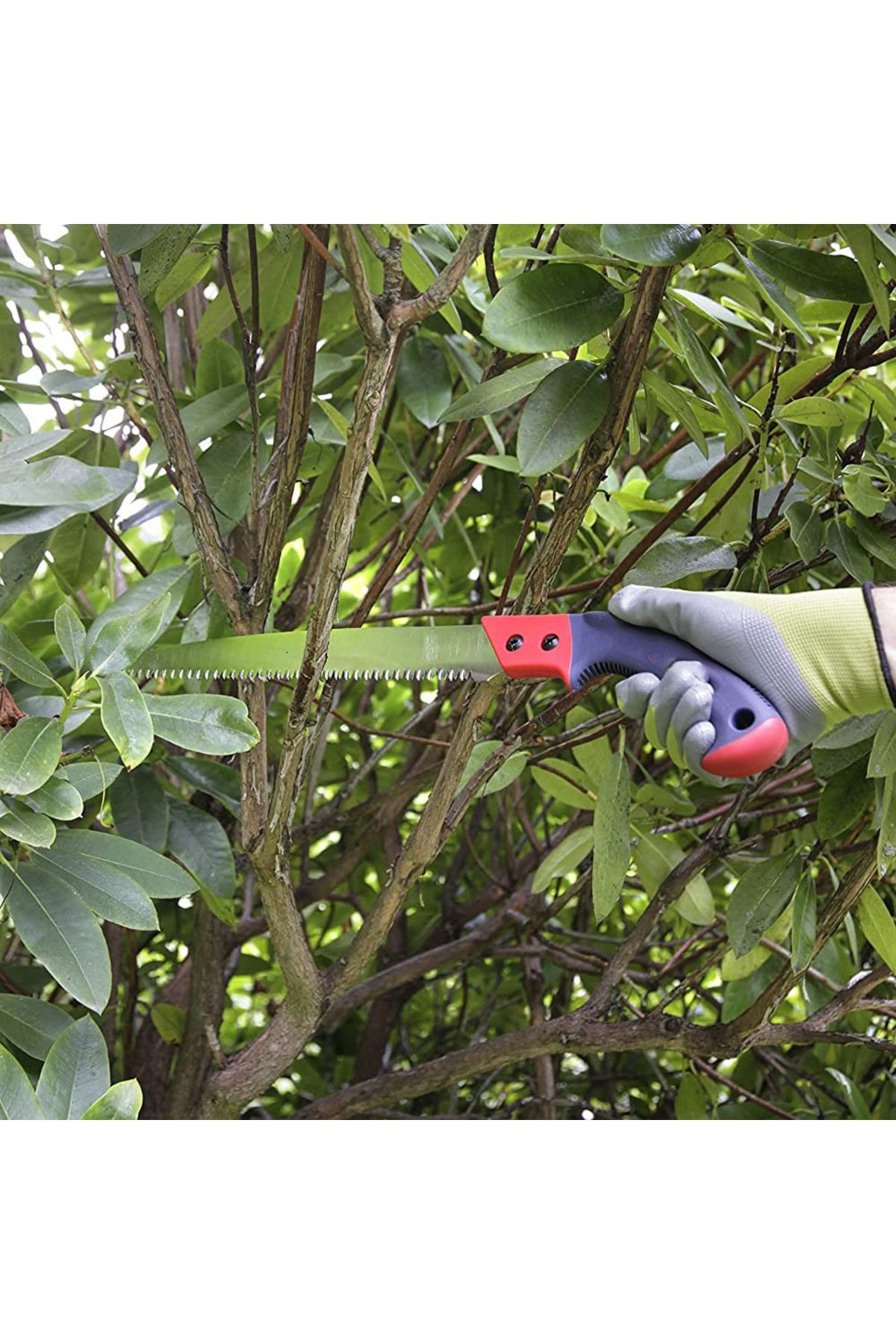 Homecare Budama Testeresi 40 Cm 422600