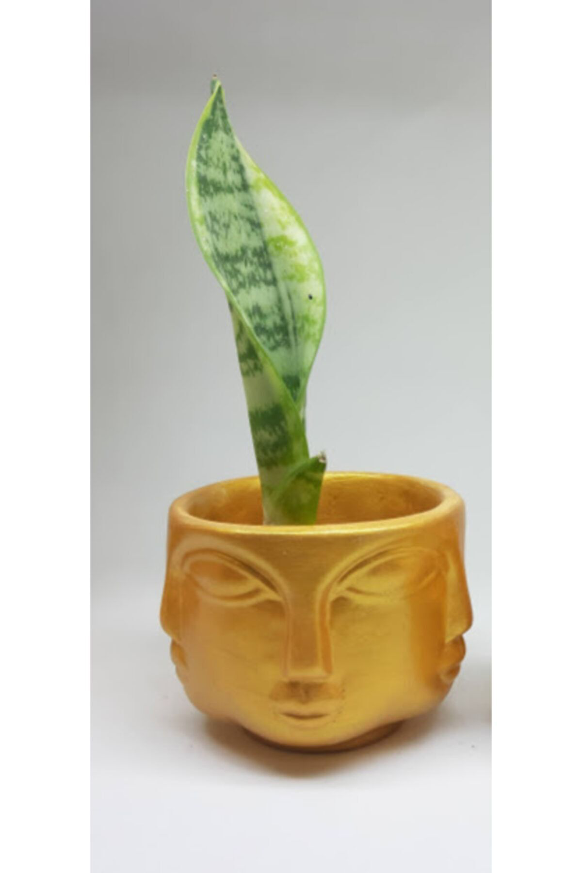 Dodemert Home Buddhaa Face Orta Boy Altın Beton Tasarım Saksı & Kalemlik