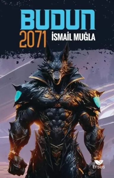 Budun 2071 Fiyatı, Yorumları ve Özellikleri