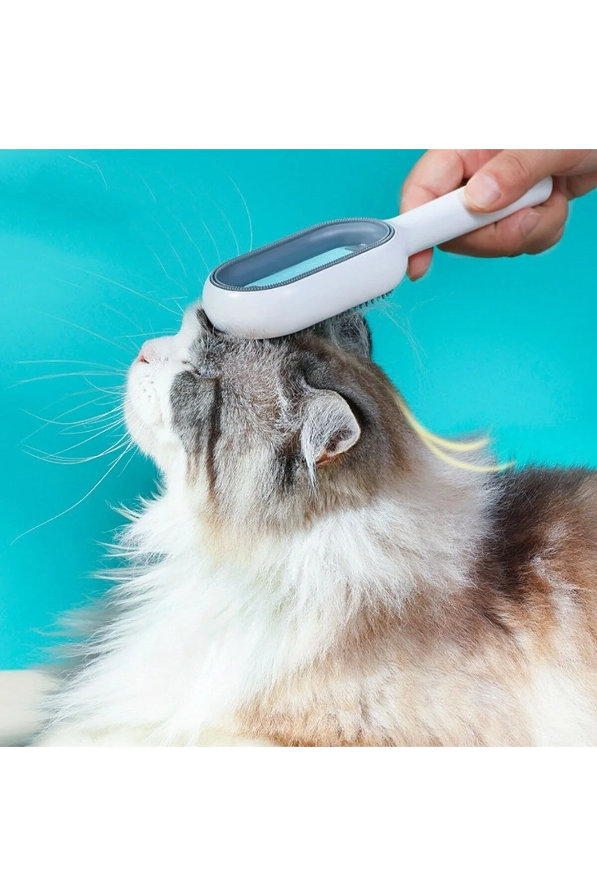 BUFFER® Evcil Hayvanlar İçin Çift Taraflı Pet Fırçası Nemli Tüy Tarama Tarağı BUFFER® Evcil Hayvanlar İçin Çift Taraflı Pet Fırçası Nemli Tüy Tarama Tarağı - Görsel 3