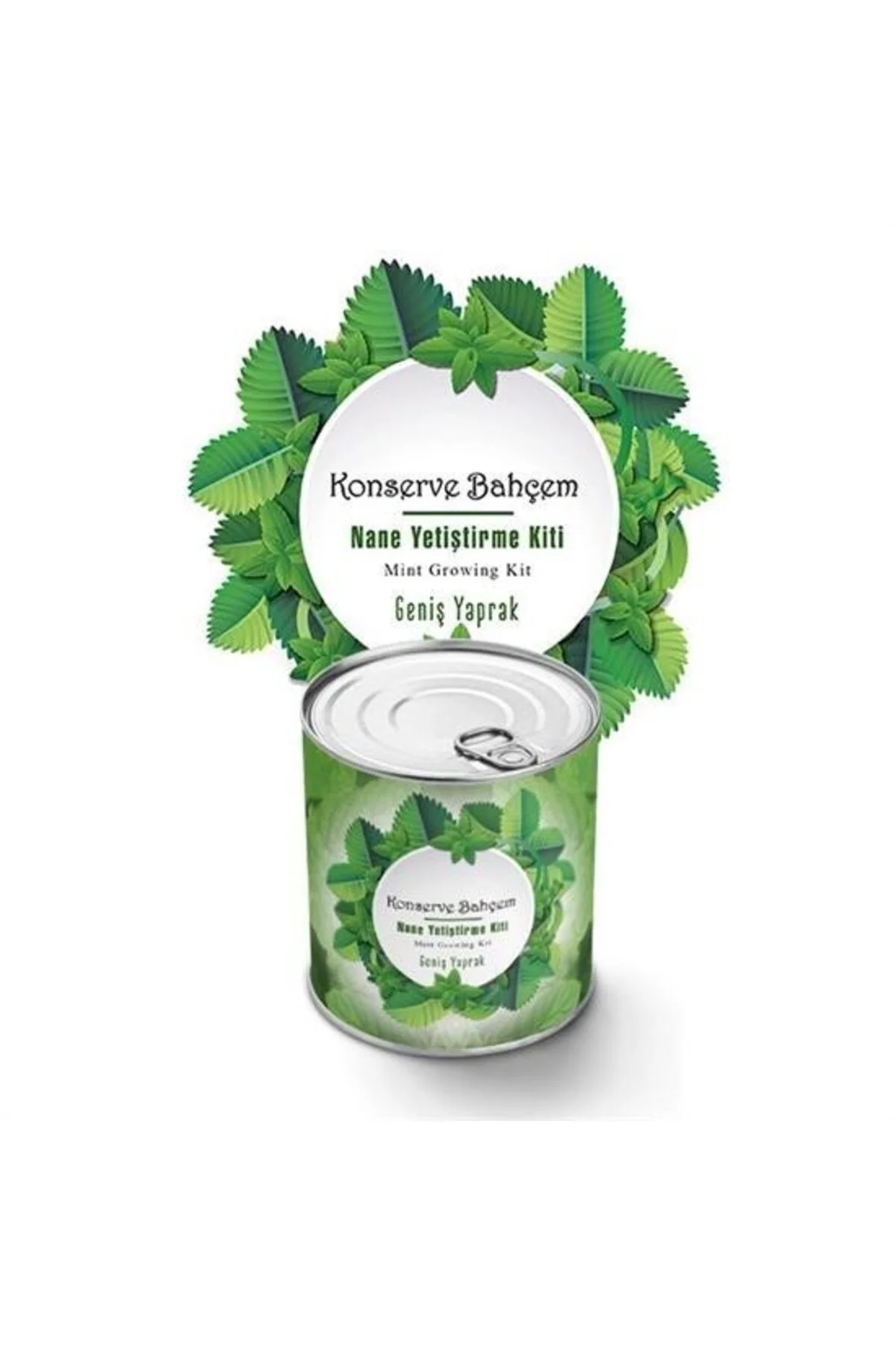 BUFFER® Konserve Bahçem Nane Yetiştirme Kiti