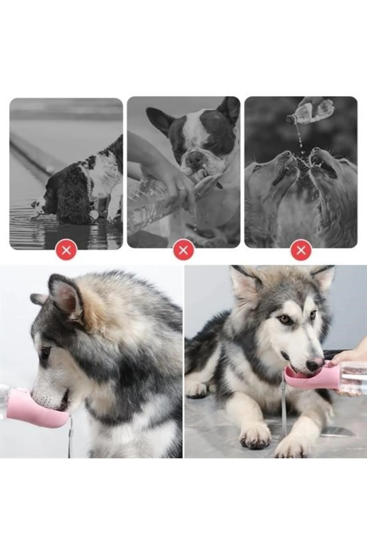 BUFFER® Taşınabilir Mama Hazneli Evcil Hayvan Suluğu Seyahat Kabı