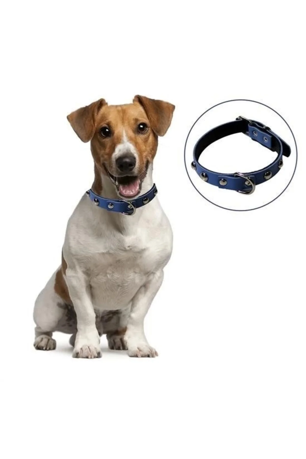 BUFFER® Yumuşak Dokulu Deri Köpek Gezdirme Boyun Tasması (Large)