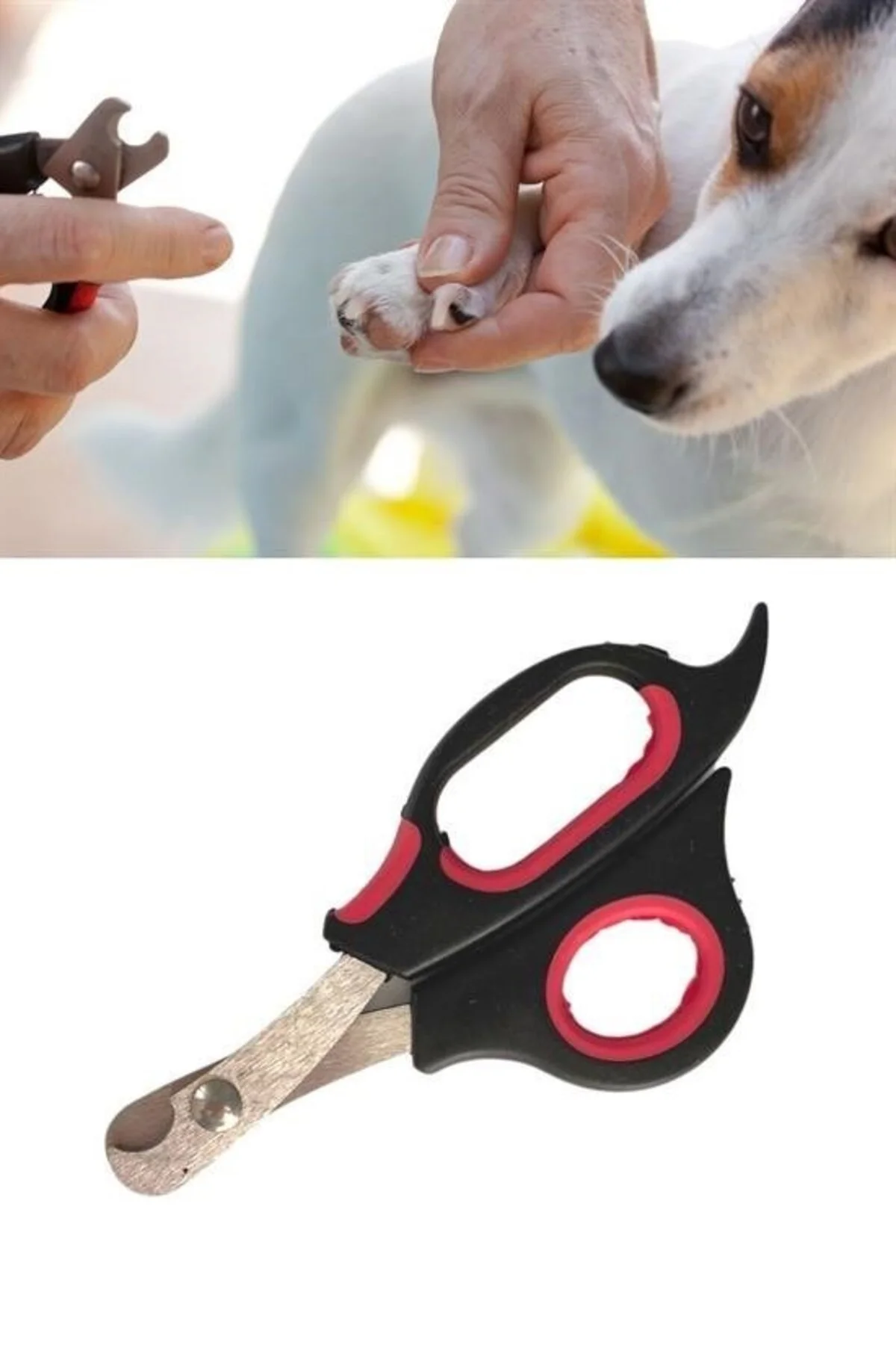 BufferBüyük Irk Köpek Kedi Çelik Uçlu Evcil Hayvan Tırnak Makası Pati Bakım Aleti Ergonomik Kaymaz BufferBüyük Irk Köpek Kedi Çelik Uçlu Evcil Hayvan Tırnak Makası Pati Bakım Aleti Ergonomik Kaymaz - Görsel 8