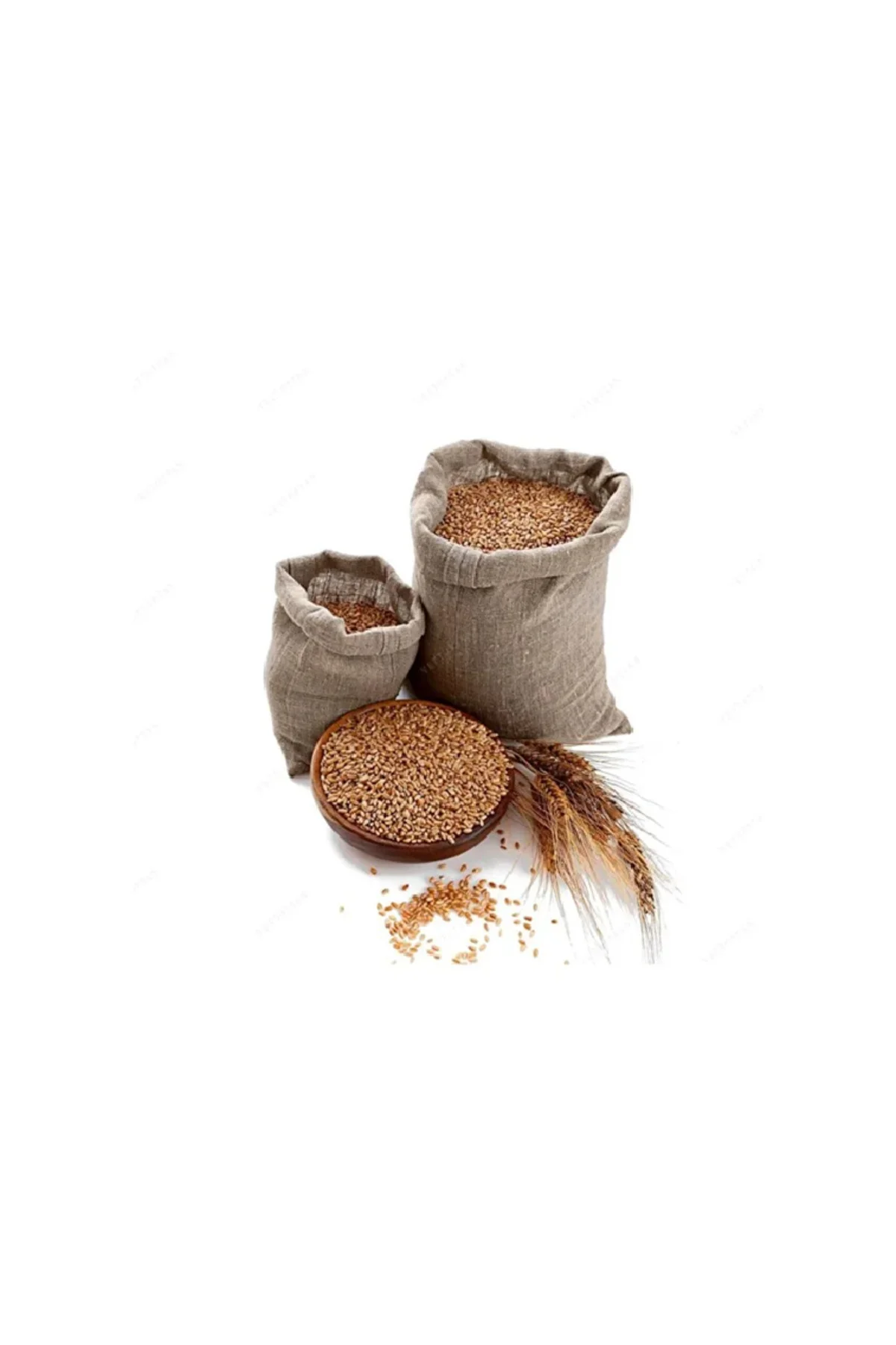 Buğday 5 Kg ( Güvercin Yemi , Kumru , Hindi, Tavuk , Kuş , Bıldır Buğday 5 Kg ( Güvercin Yemi , Kumru , Hindi, Tavuk , Kuş , Bıldır