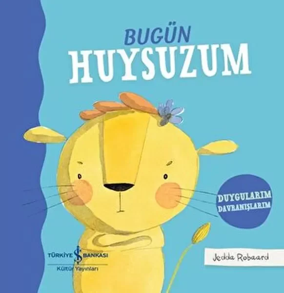 Bugün Huysuzum Fiyatı, Yorumları ve Özellikleri