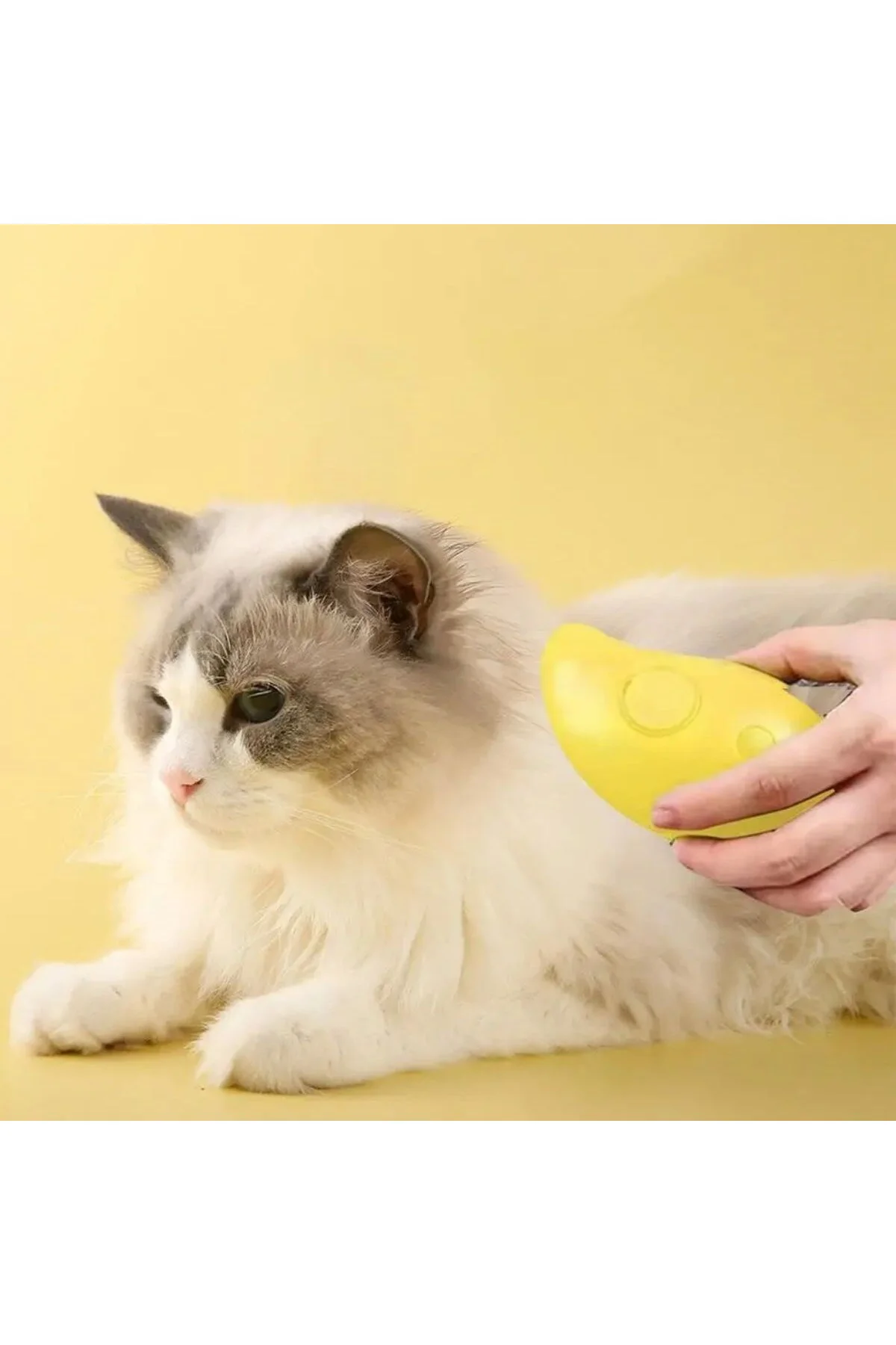 Buharlı Yumuşak Silikon Uçlu Kedi & Köpek Tüy Tarama Tarağı Yıkam