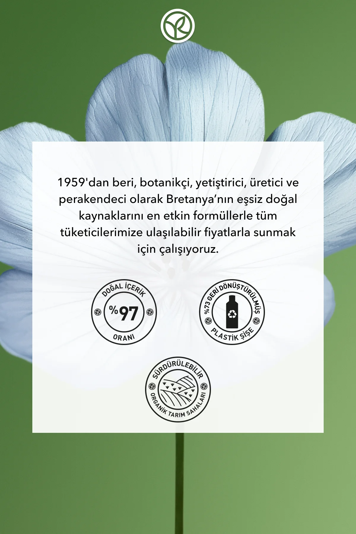 Bukle Belirginleştirici Saç Kremi - Kıvırcık ve Dalgalı Saçlar/ B