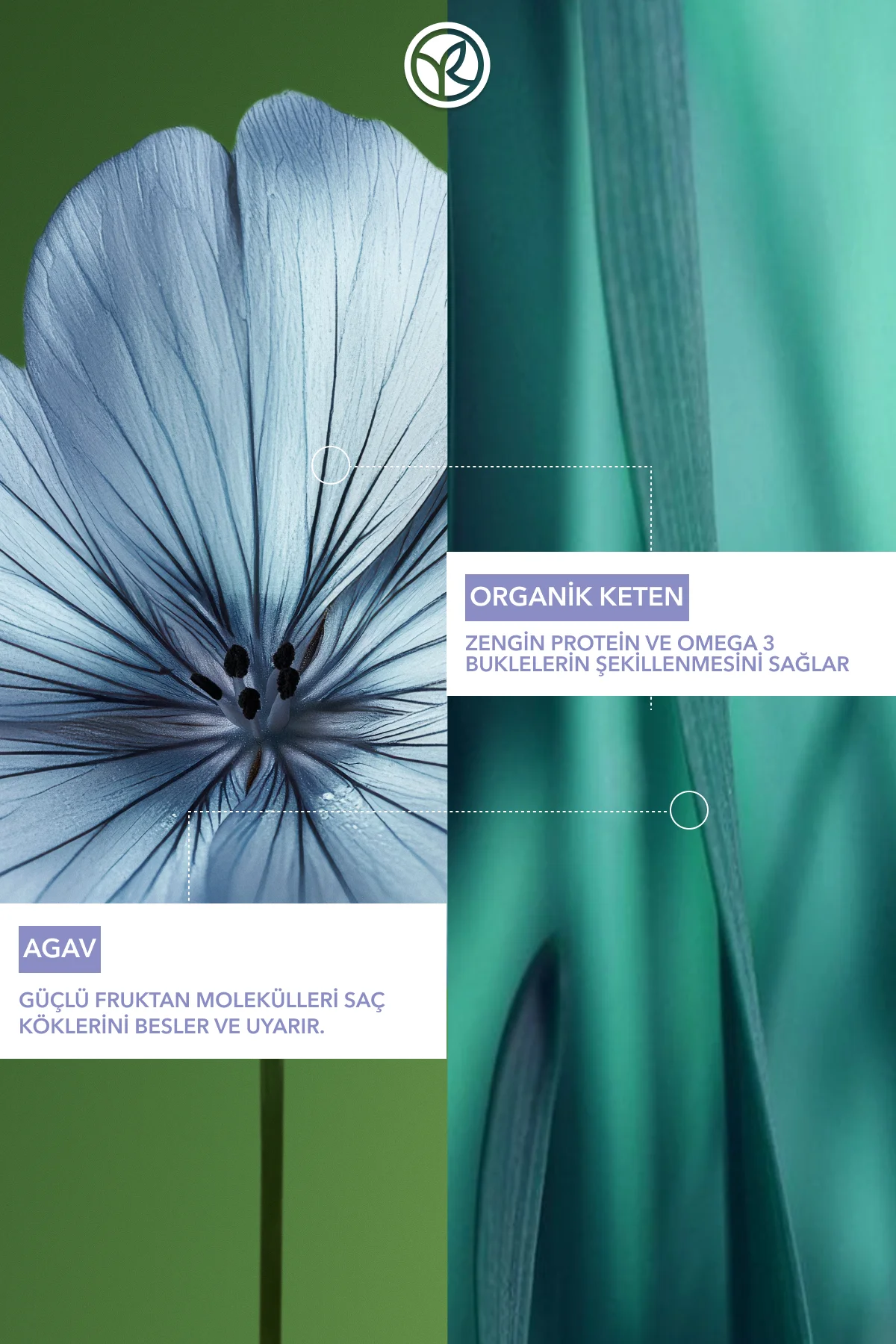 Bukle Belirginleştirici Saç Kremi - Kıvırcık ve Dalgalı Saçlar/ B