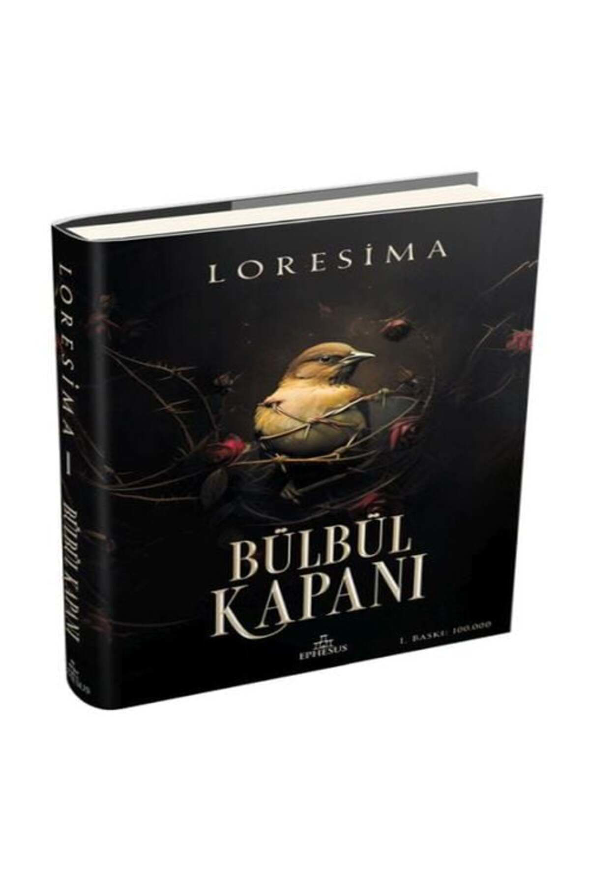 Karatay Yayınları Bülbül Kapanı 1 Ciltli