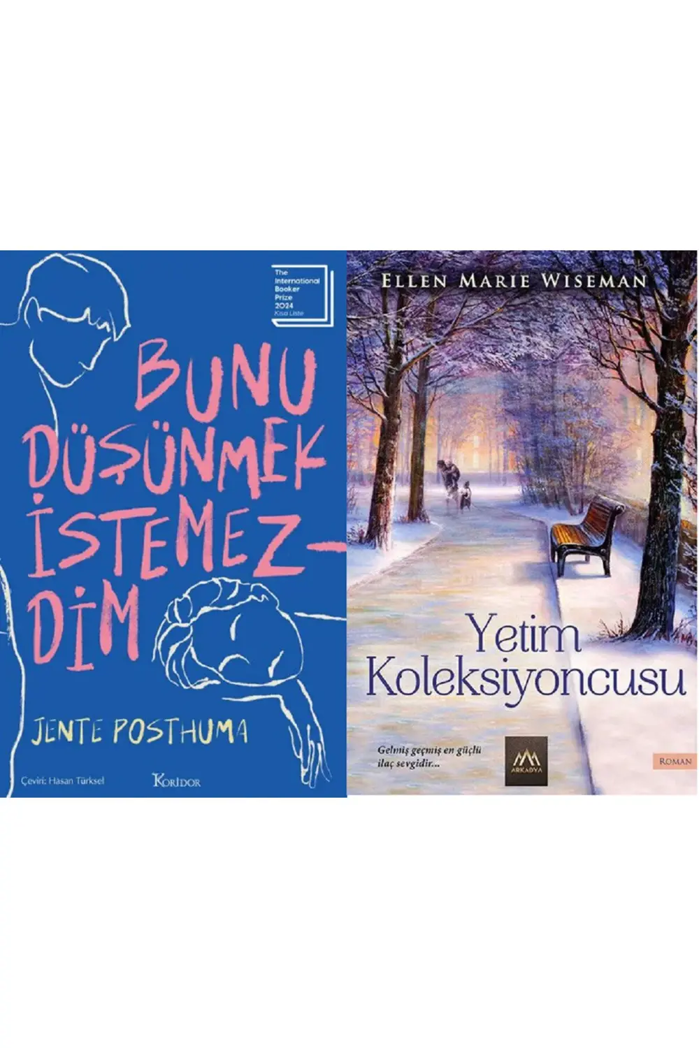 Bunu Düşünmek İstemezdim + Yetim Koleksiyoncusu 2 Kitap Set