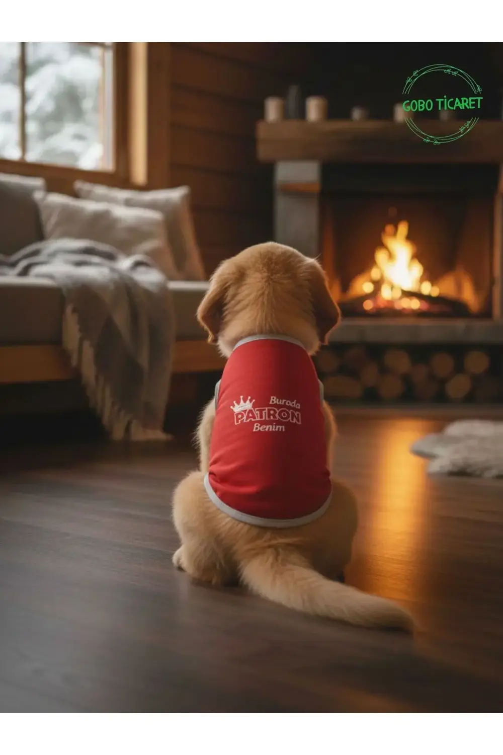 Burada Patron Benim Baskılı Kırmızı Kedi ve Köpek Kıyafeti Elbise