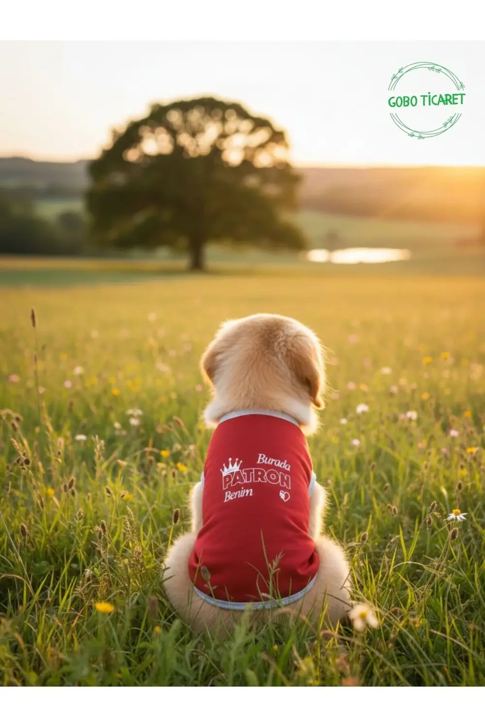 Burada Patron Benim Baskılı Kırmızı Kedi ve Köpek Kıyafeti Elbise
