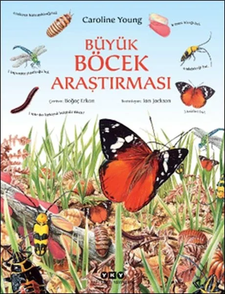 Büyük Böcek Araştırması Fiyatı, Yorumları ve Özellikleri