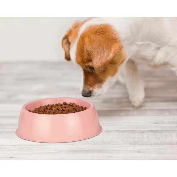 Büyük Boy Yuvarlak Kedi Köpek Mama Kabı Dayanıklı Plastik 22cm Ru