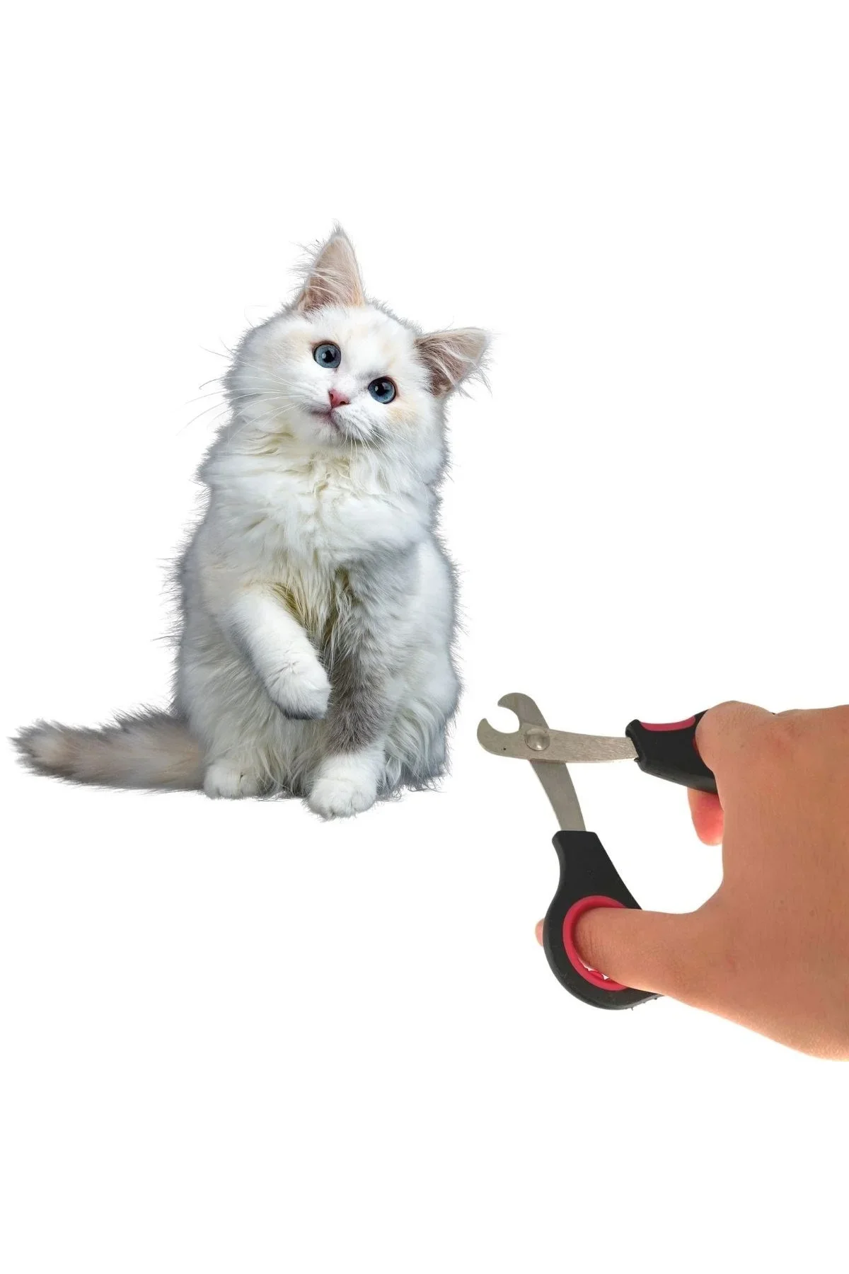 Büyük Irk Köpek Kedi Çelik Uçlu Evcil Hayvan Tırnak Makası Pati Bakım Aleti Ergonok Kaymaz