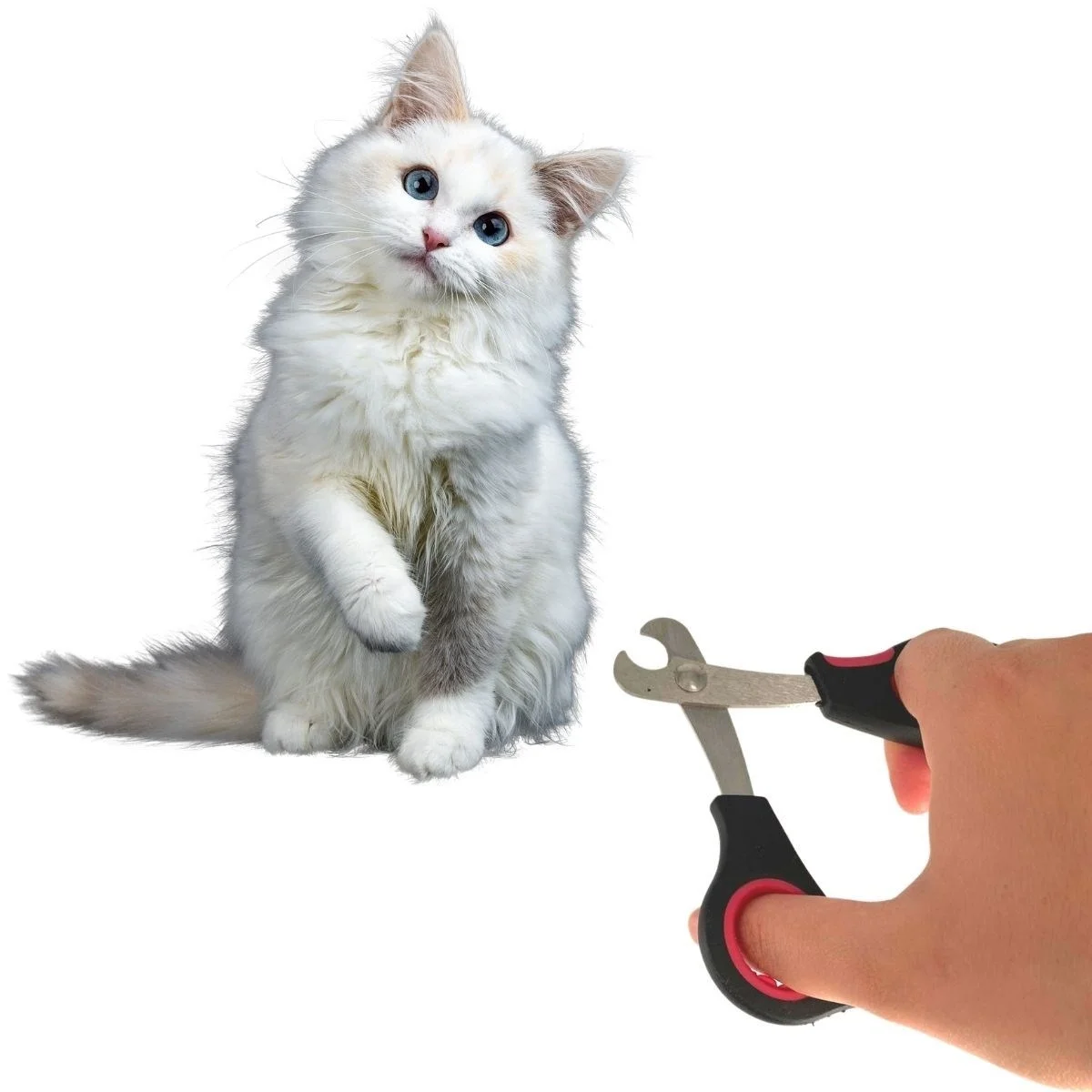 Büyük Irk Köpek Kedi Çelik Uçlu Evcil Hayvan Tırnak Makası Pati Bakım Aleti Ergonomik Kaymaz Bx40 Fiyatı, Yorumları ve Özellikleri