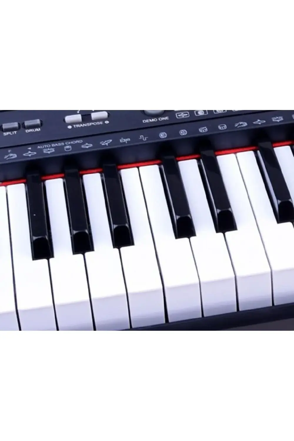 BÜYÜK ORG 5 OKTAV 61 TUŞLU DOLGUN TUŞ ÜST KALİTE