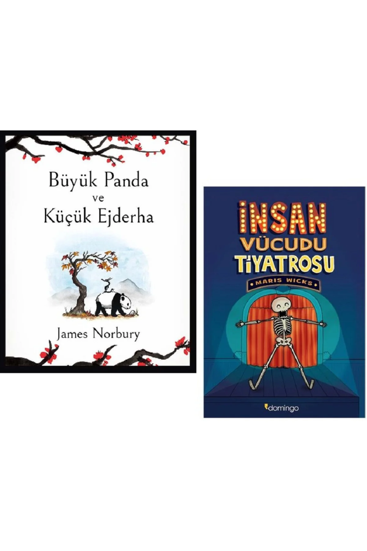 Büyük Panda ve Küçük Ejderha + İnsan Vücudu Tiyatrosu / 2 Kitap S