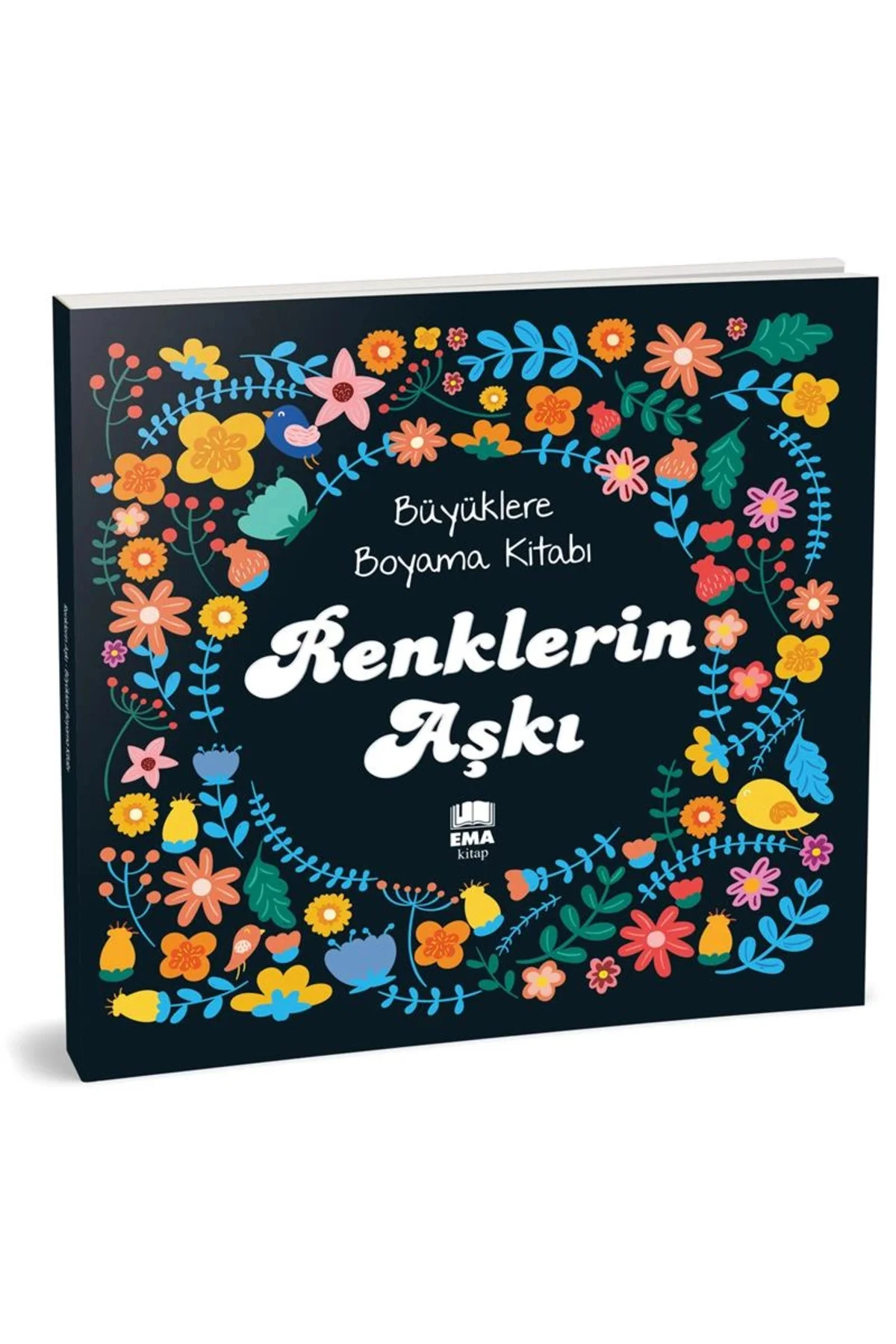Büyüklere Boyama Kitabı Renklerin Aşkı