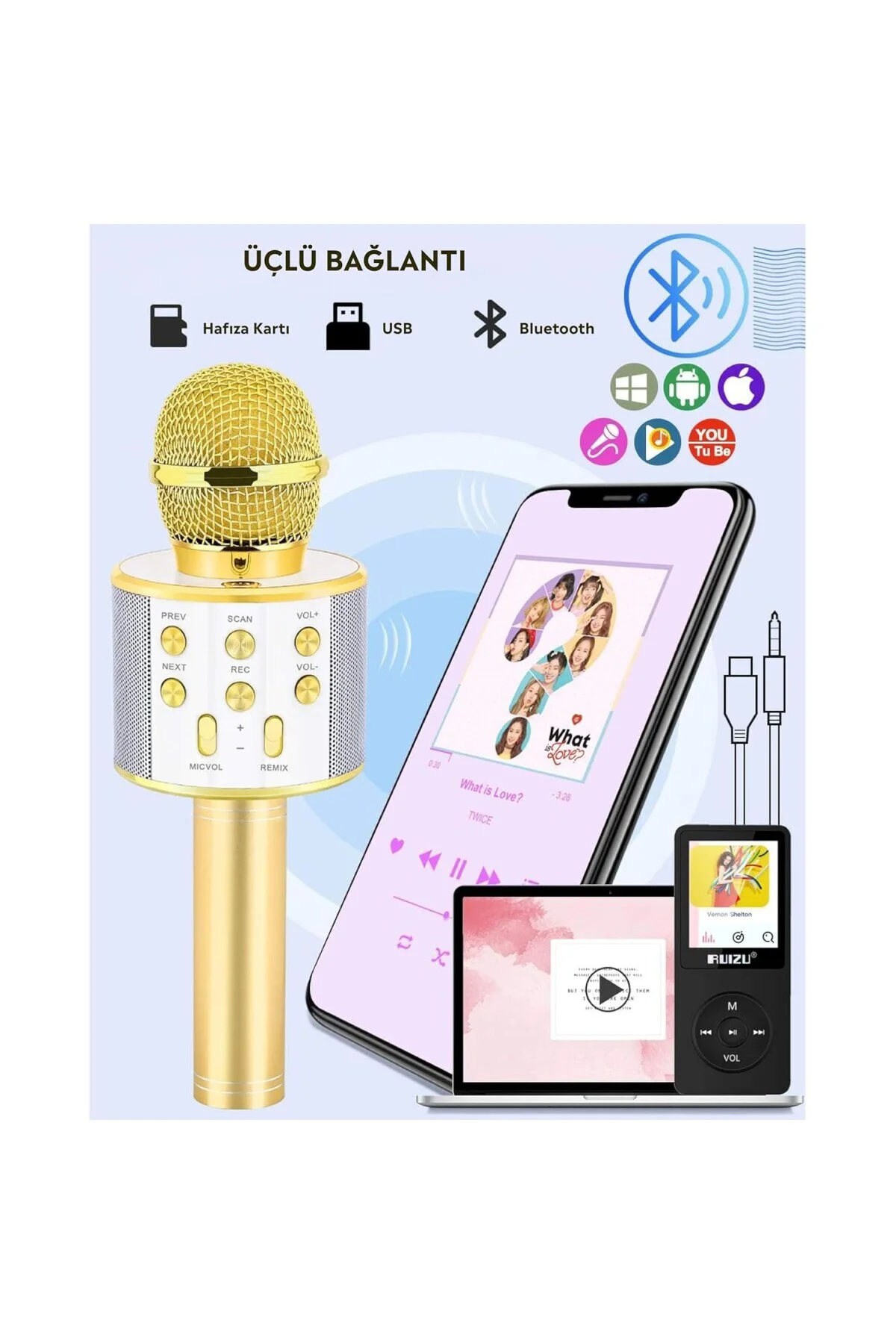 C-8501 Karaoke Mikrofon Bluetooth USB & TF & Aux (Gold)