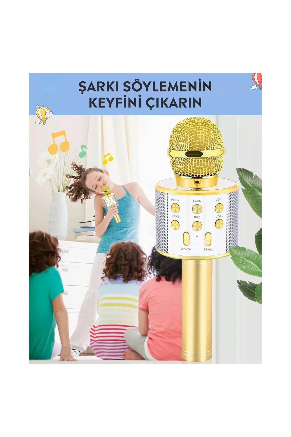 C-8501 Karaoke Mikrofon Bluetooth USB & TF & Aux (Gold)