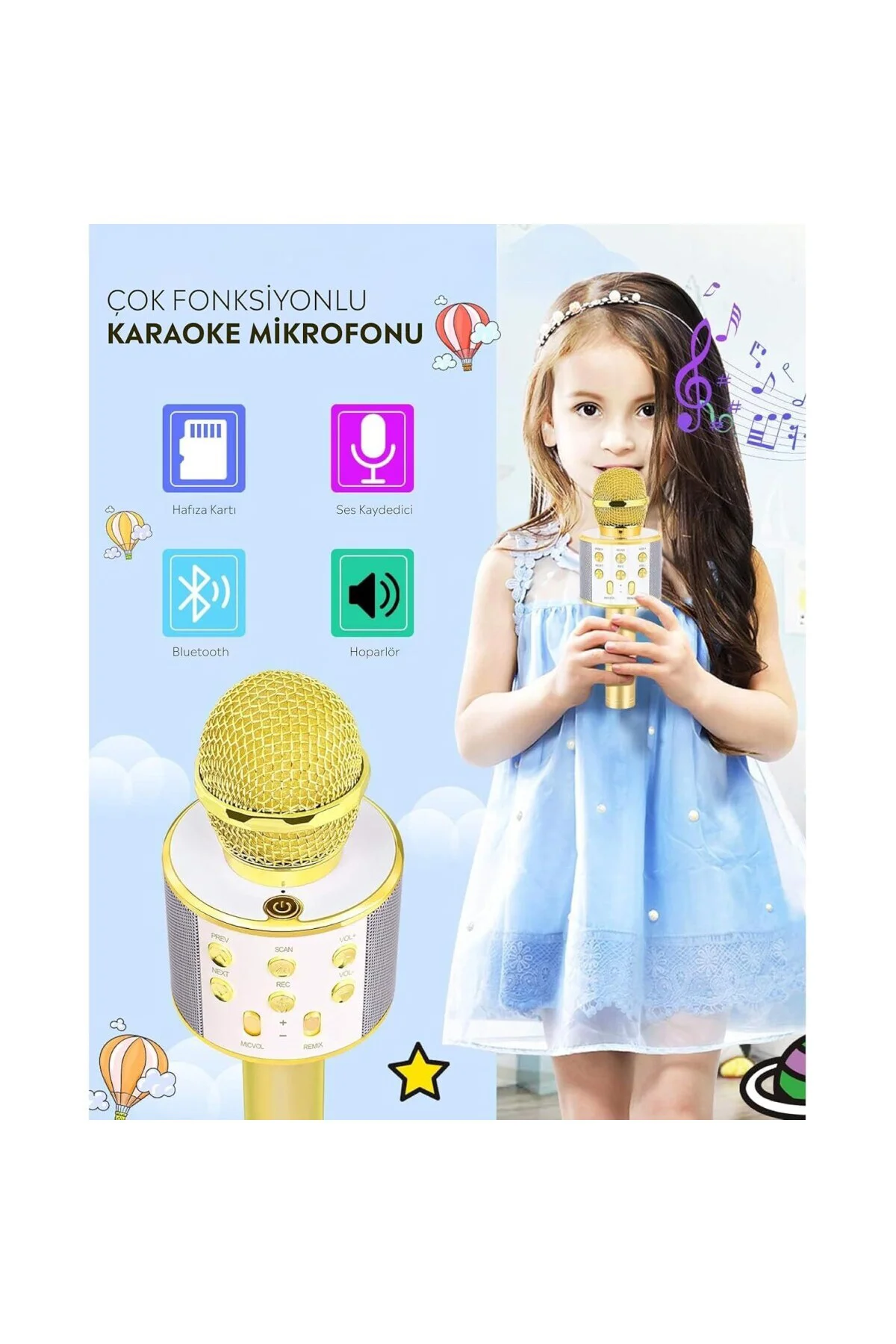 C-8501 Karaoke Mikrofon Bluetooth USB & TF & Aux (Gold)