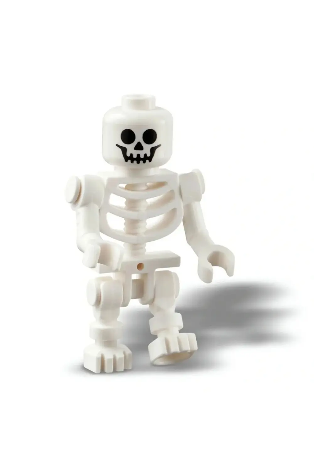 Cadılar Bayramı Ahırı 40721