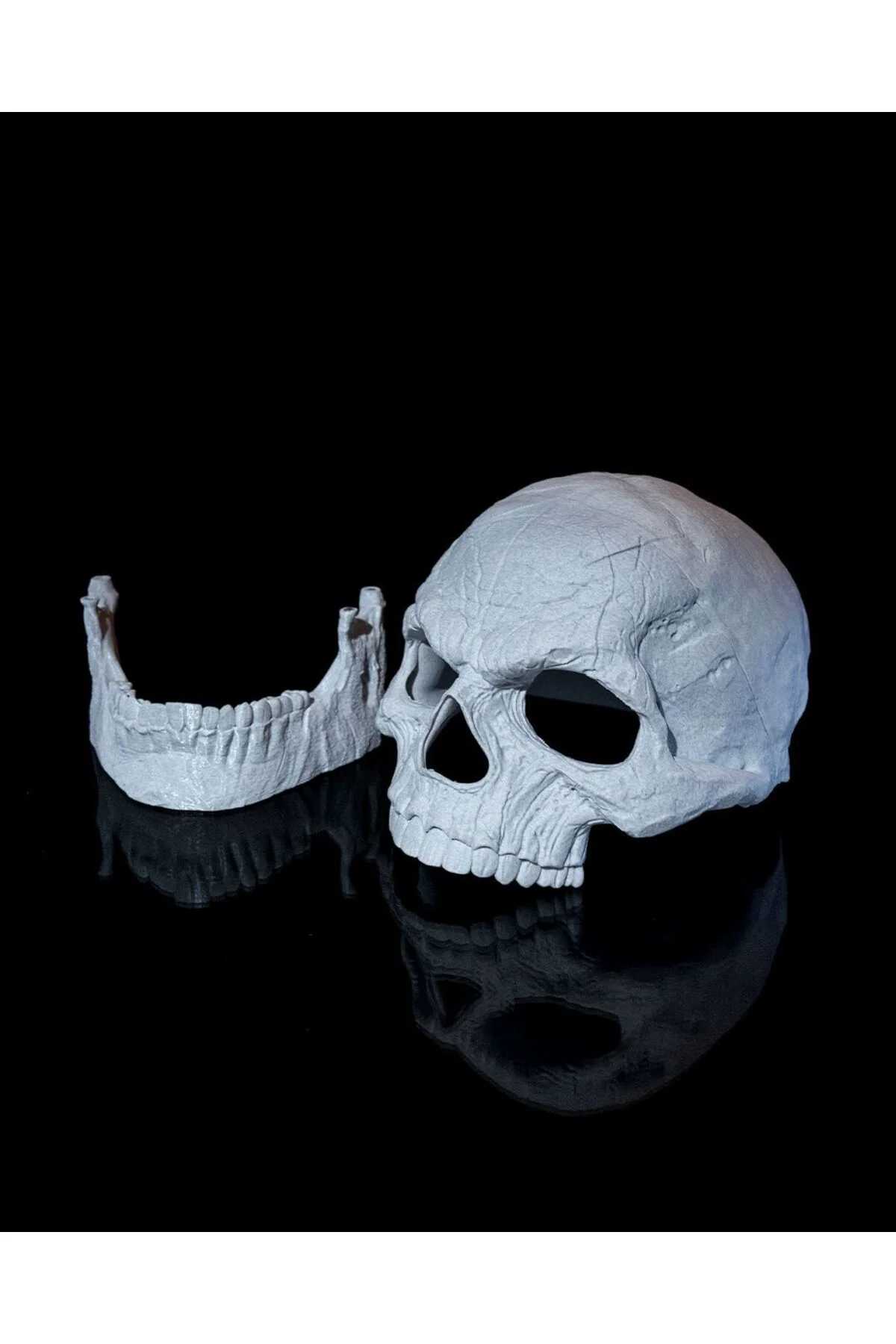 Cadılar Bayramı Kuru Kafa Kafatası Dev Boy Maske 34CM