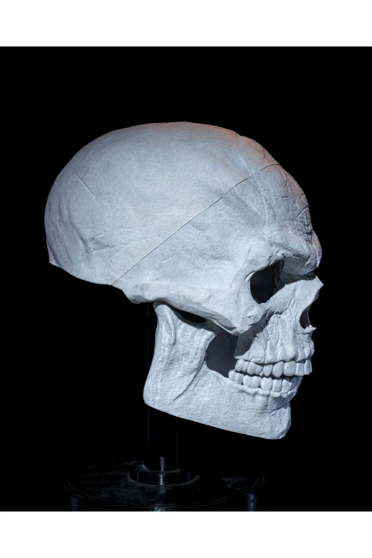 Cadılar Bayramı Kuru Kafa Kafatası Dev Boy Maske 34CM
