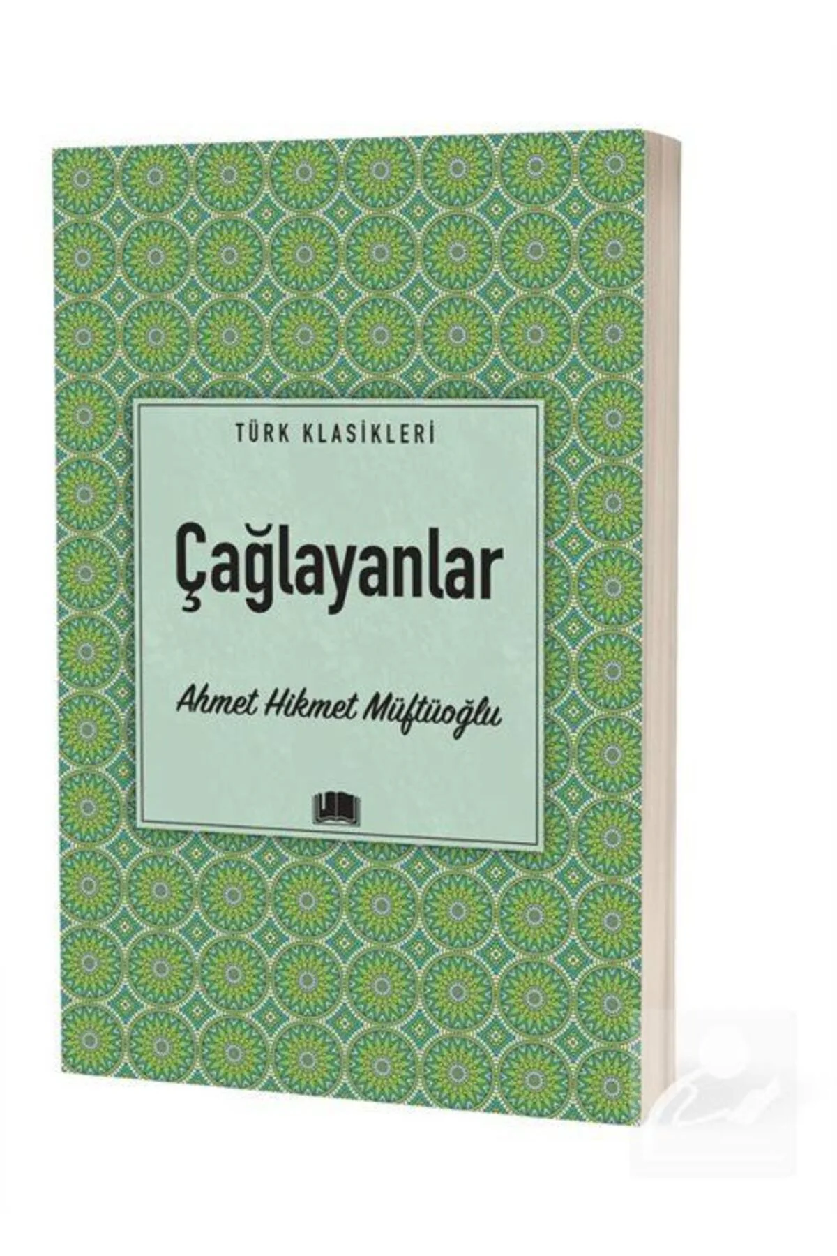 Çağlayanlar / Türk Klasikleri Çağlayanlar / Türk Klasikleri