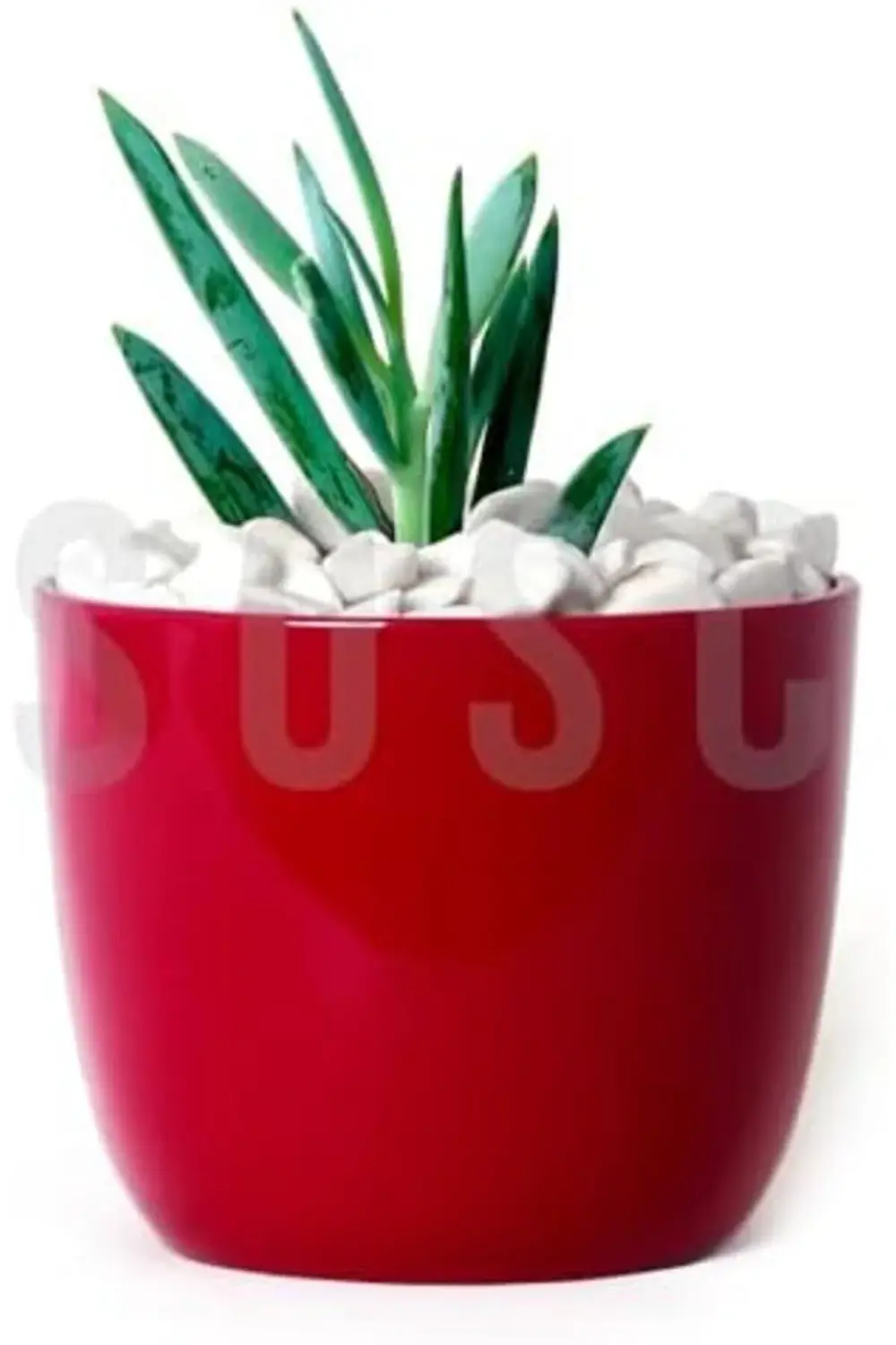 Çakıl taşı Dolomit Taşı Bahçe süsü Akvaryum taşı Dere çakıl taşı