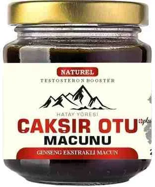 Çakşır Otu Macunu - Doğal Saç Dökülmesine Karşı Etkili Bitkisel Macun Fiyatı, Yorumları ve Özellikleri