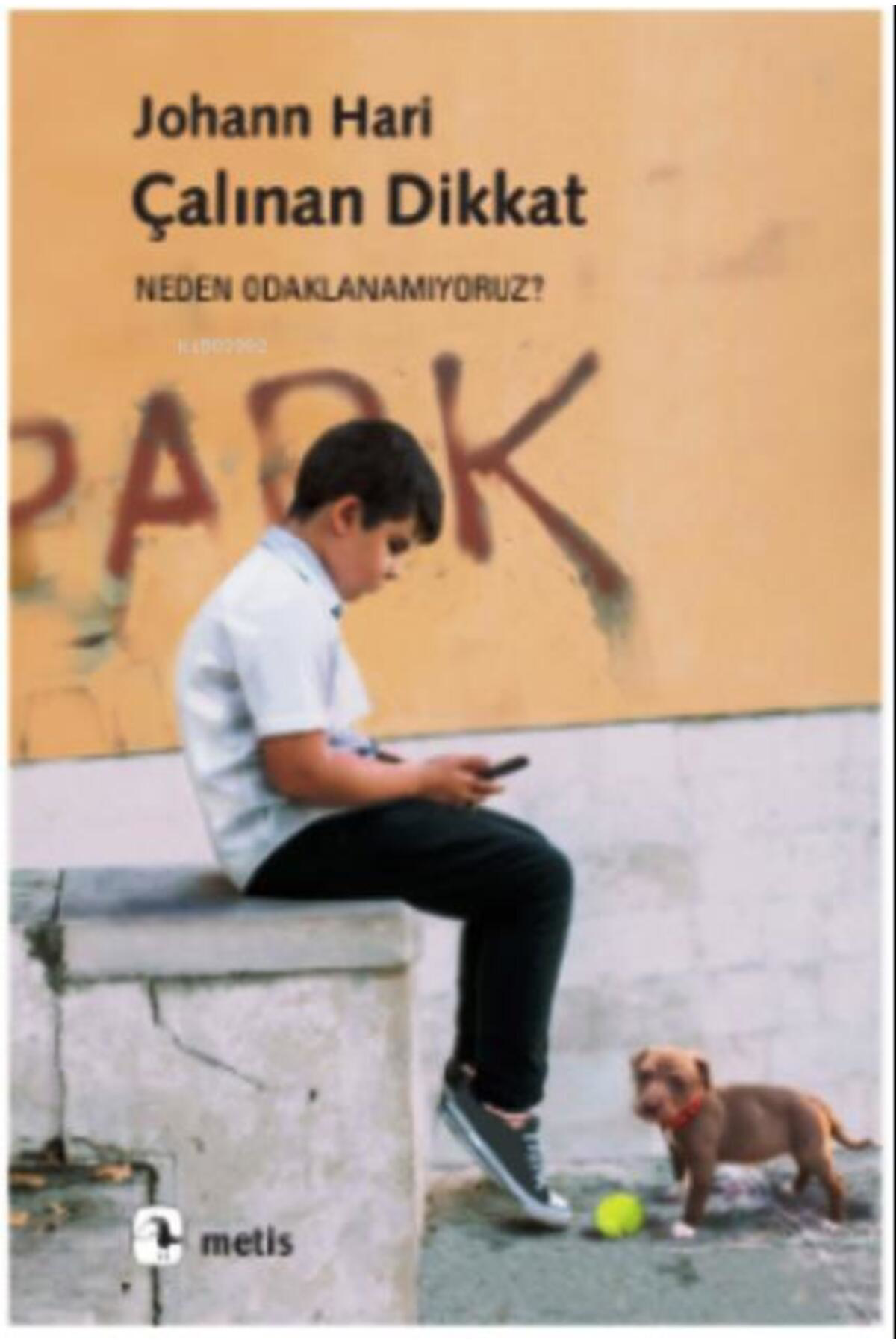 Metis Yayınları Çalınan Dikkat