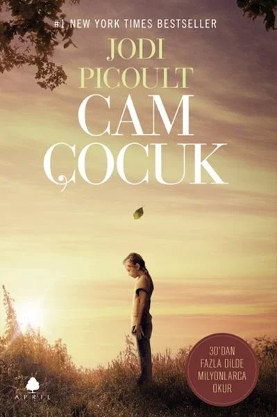 Cam Çocuk Cam Çocuk